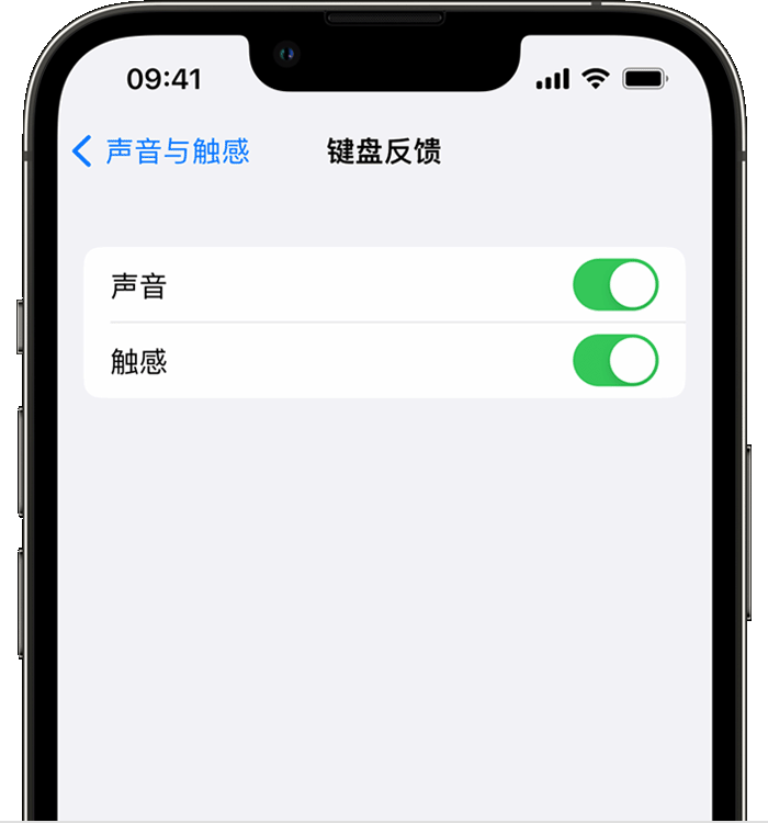 西安苹果14维修店分享如何在 iPhone 14 机型中使用触感键盘 